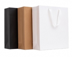 Paper Gift Bag